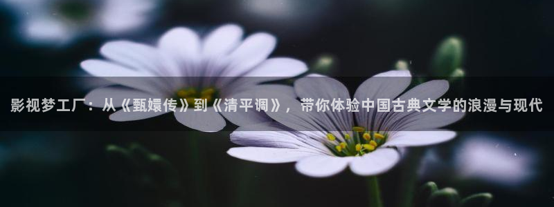 草草影院新址入口